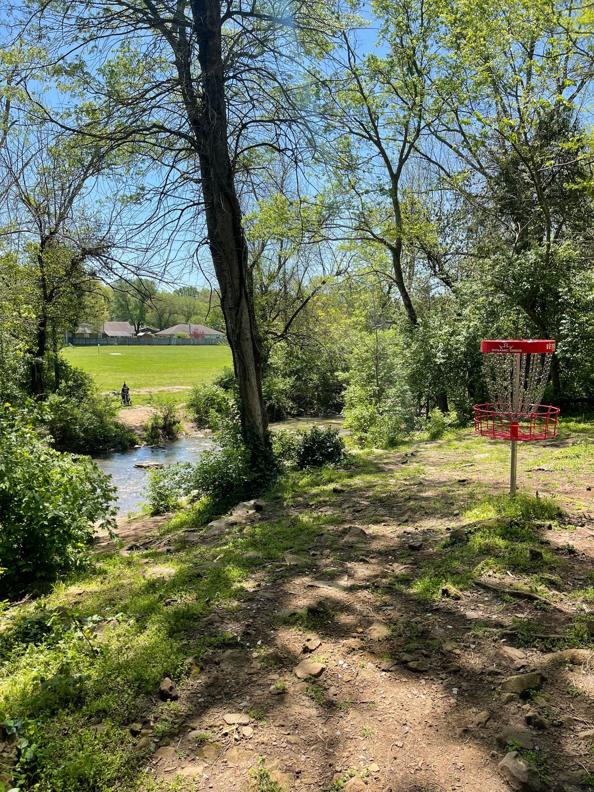 Open park landscape suitable for disc golf practice