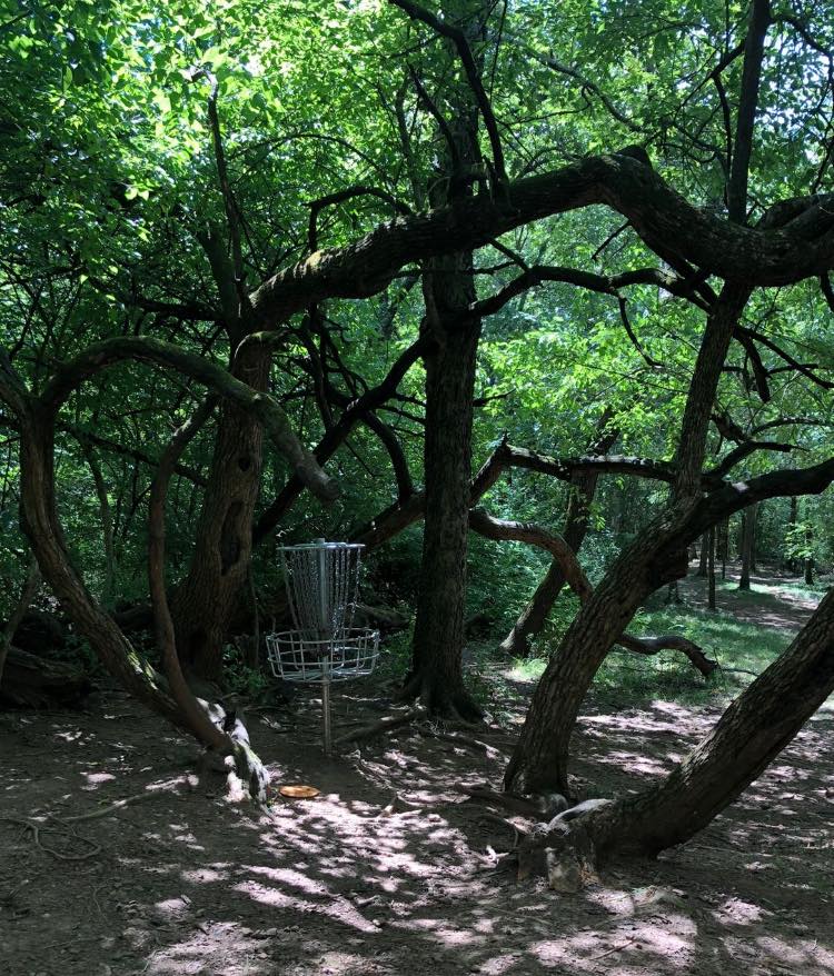 Signature green at Waxhaws Disc Golf Course